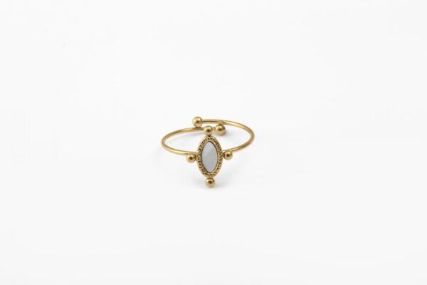 Anneau Ring