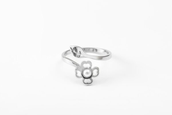 Anneau Ring
