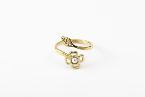 Anneau Ring