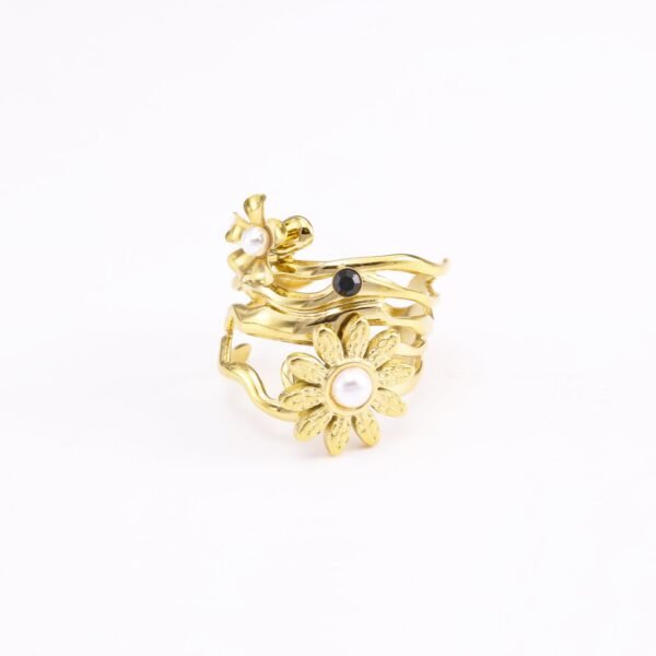 Anneau Ring
