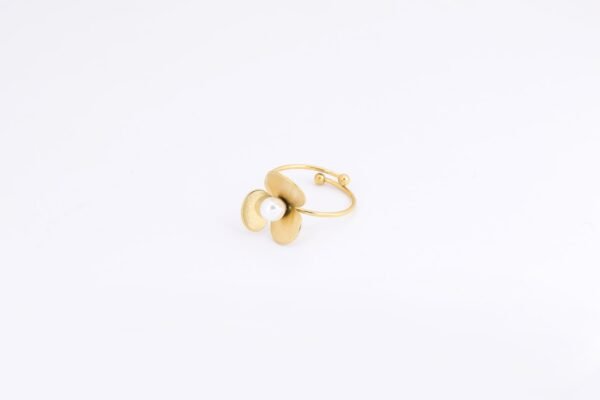 Anneau Ring